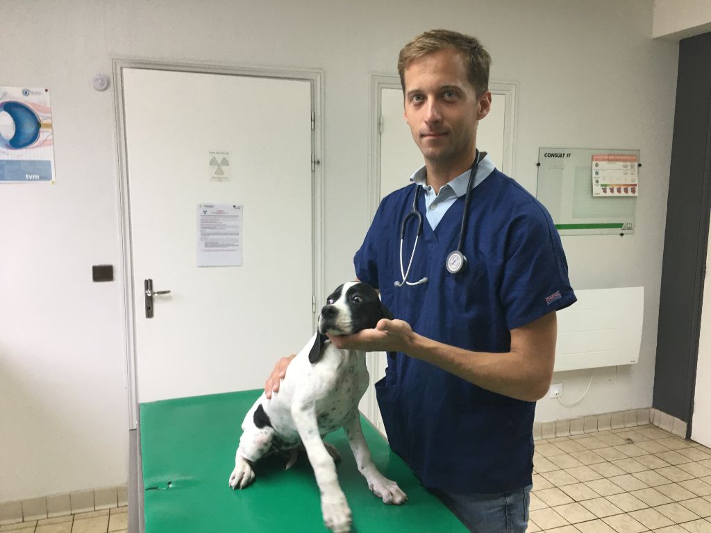 de la lande de mestry - VISITE VETERINAIRE