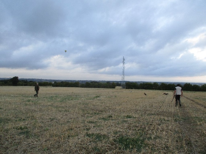 de la lande de mestry - Nouvelle saison de chasse.