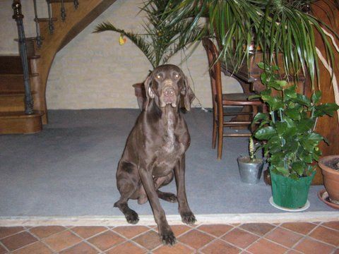 Vrack de la lande de mestry