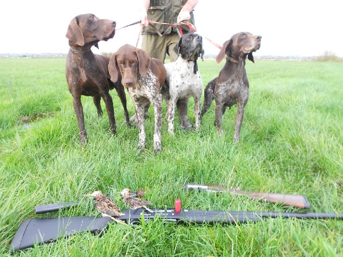 de la lande de mestry - Chasse à la Bécassine
