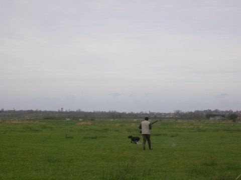 CHASSE