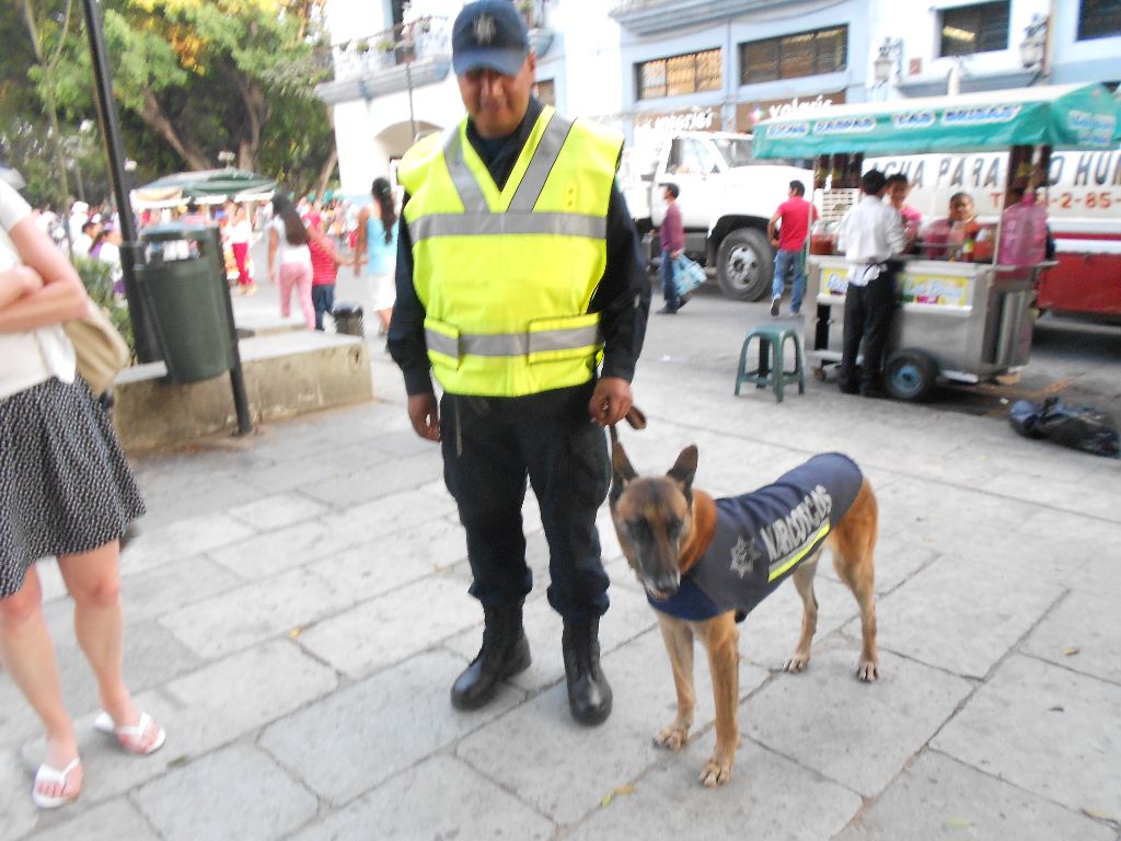 CHIENS DU MONDE