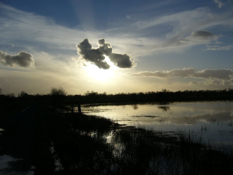  MARAIS DU BESSIN